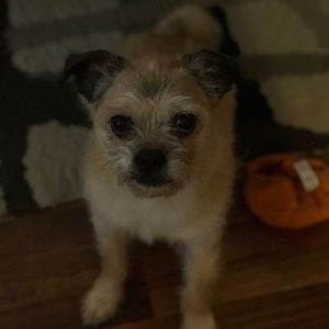 Meet your Posher, Jay